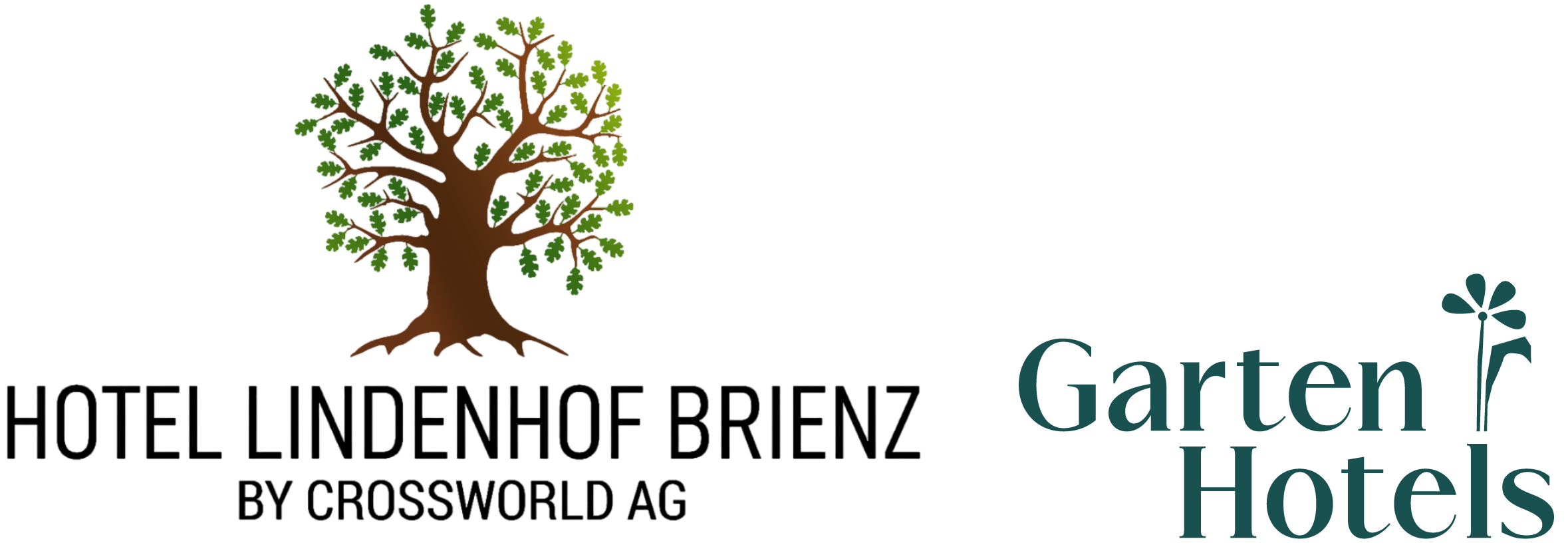 Hotel Lindenhof Brienz